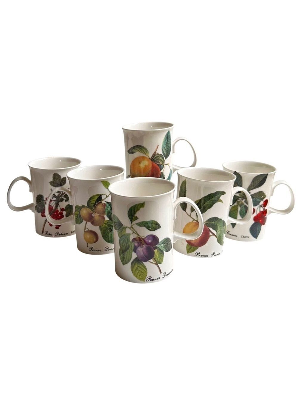 Set of 6 Dunoon Fruit Blenheim Mugs Bone China England